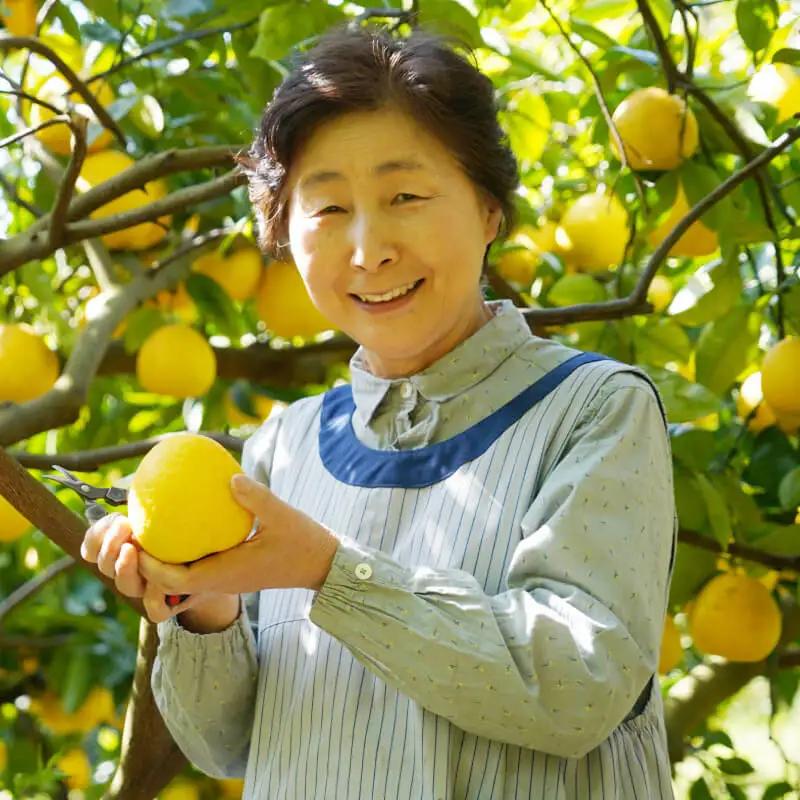 【先行予約：2027年2月中旬～発送】 訳あり 文旦 10kg （Mサイズ以上 サイズミックス） 10000円 ぶんたん みかん家庭用 産地直送 国産 農家直送 減農薬 糖度 期間限定 数量限定 特産