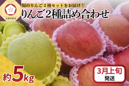【2026年3月上旬発送】 りんご 5kg サンふじ 王林 他 紅白 詰め合わせ 青森