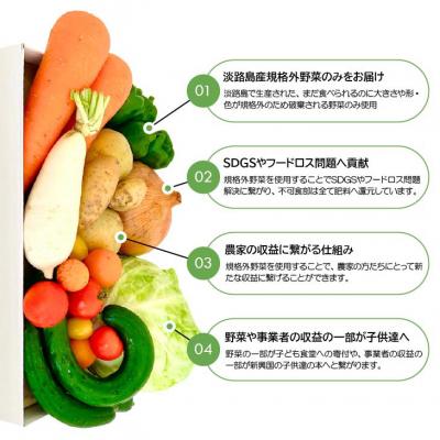 ふるさと納税 南あわじ市 【シーサイドグロサリー】淡路島産規格外野菜ボックス・Mサイズ(2〜3人向け) |  | 01