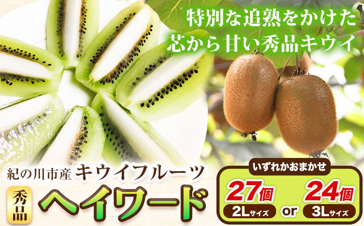 
                  秀品 紀の川市産キウイフルーツ ヘイワード(3Lサイズ24個もしくは2Lサイズ27個のいずれかおまかせ) 和田果樹園《2027年1月中旬-3月中旬頃出荷》 和歌山県 紀の川市 キウイ キウイフルーツ ヘイワード 果物 フルーツ 贈答用 送料無料
                
