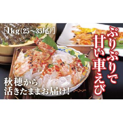 ふるさと納税 山口市 山口秋穂産活きあいおえび1kg C045