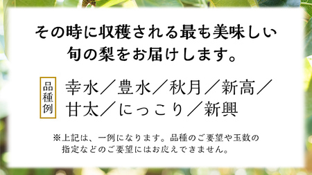 《 先行予約 》 品種おまかせ 梨 約 3kg（ 茨城県共通返礼品： かすみがうら市 ）【 2024年 9月発送 】 フルーツ 果物 なし ナシ 旬 新鮮 旬 期間限定 甘い 国産