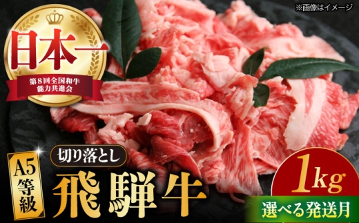 【3月発送】【飛騨牛】 切り落とし 1kg 和牛 ブランド牛 国産 牛肉 多治見市 / 渡辺精肉店 [TAZ005-3]