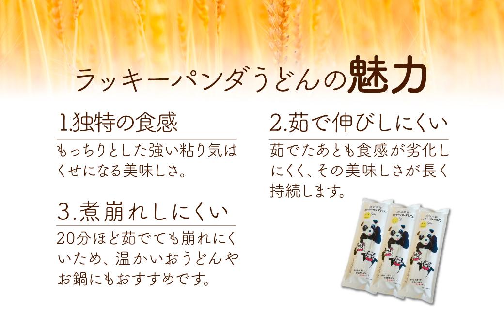 うどん ラッキーパンダうどん 60食セット (3束×20袋) | うどん 饂飩 乾麺 麺 麺類 国産 国内産小麦使用 あやひかり もっちり つるっこ 食品 ラッキーパンダ おすすめ 人気 ぎふとるうむ