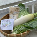 【ふるさと納税】野菜がおいしく漬かる糠漬けセット 100サイズ箱