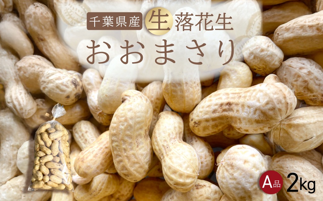 【先行受付・9月上旬より順次発送！】おおまさり 生落花生 2kg  SMAH010