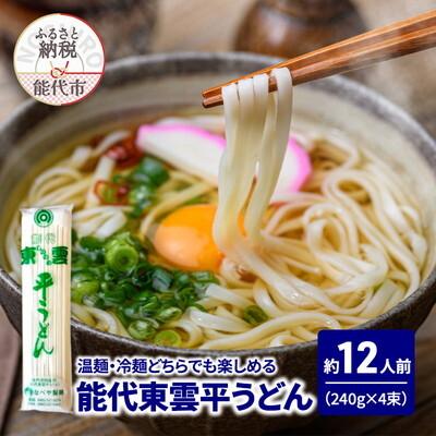 ふるさと納税 能代市 うどん 能代東雲平うどん 240g(約3人前)×4束 なべや製麺[No.5335-1361]