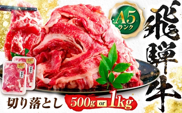 
                  ＼キャンペーン対象／【選べる容量】飛騨牛 A5等級 切り落とし 切り落とし肉 切りおとし 最高級 a5 A5 牛 和牛 牛肉 お肉 高級 贈答ギフト 岐阜市 / 肉の松久 [ANIP001]
                