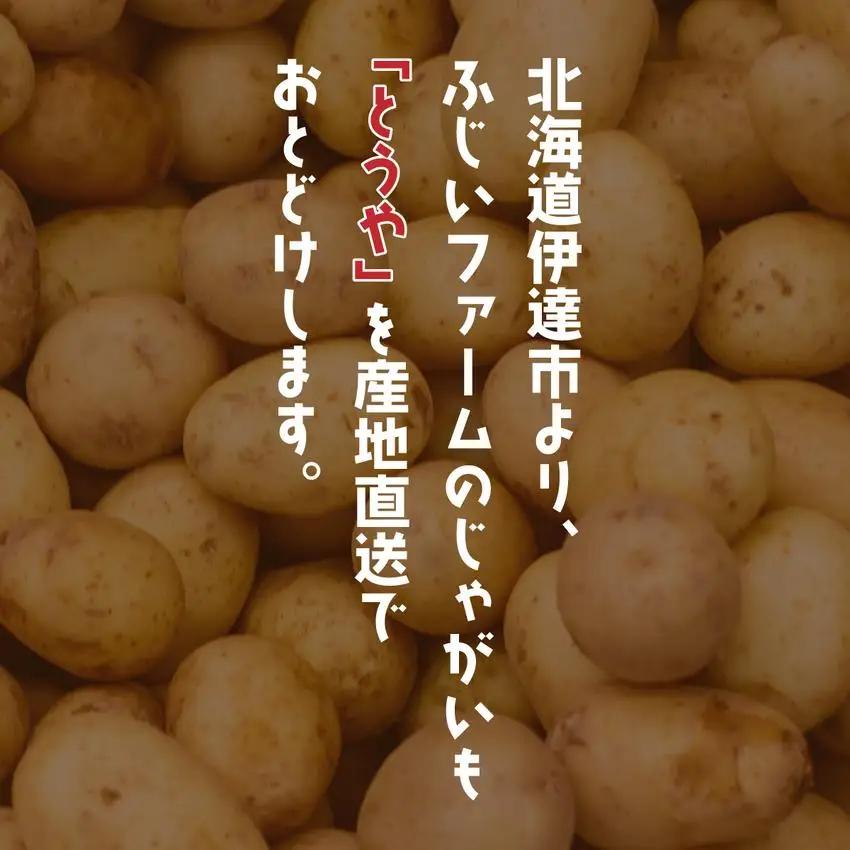 ＜先行予約＞北海道産 じゃがいも(とうや) 約5kg【55250843】