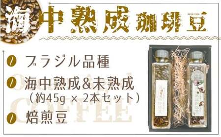 【コーヒー豆】海で熟成させた海中熟成珈琲 希少 限定 コーヒー豆