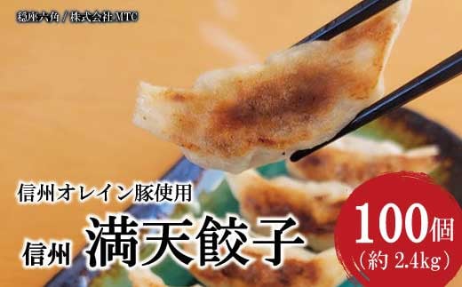 [No.5657-3934]信州満天餃子 100個入《穏座六角/株式会社MTC》