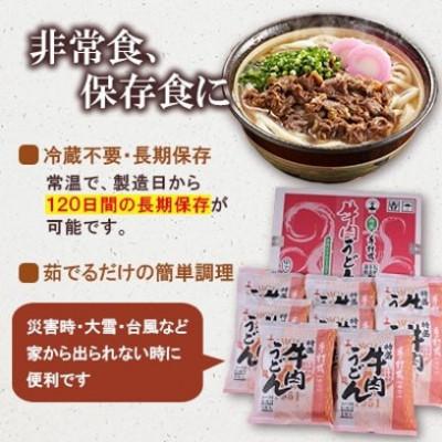 ふるさと納税 豊前市 【毎月定期便】特盛牛肉うどん 8食入り×全12回 |  | 03