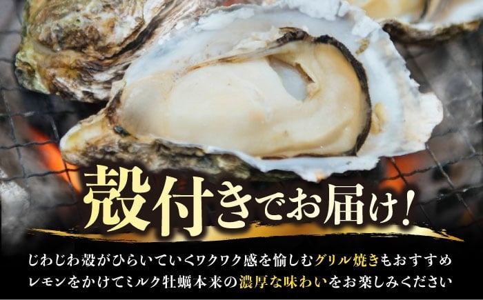 牡蠣 むき身 殻付き かき カキ 生牡蠣 広島牡蠣 オイスター