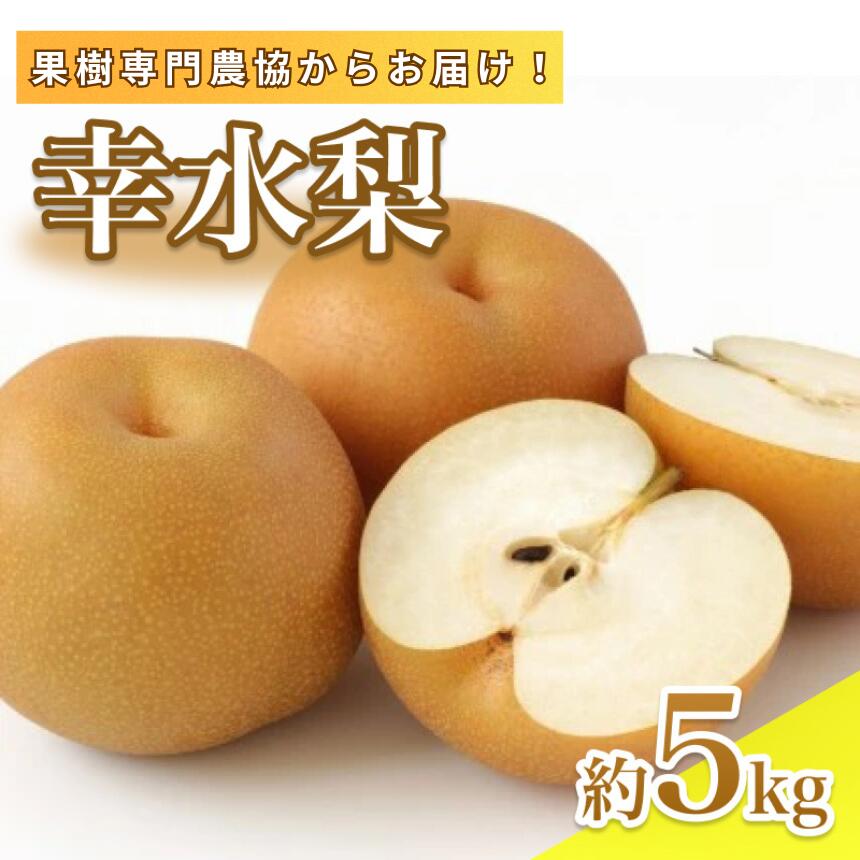 【ふるさと納税】【8月中旬より発送予定】南信州産「幸水梨」約5kg 12～16玉 糖度11.0以上 | 果物 くだもの フルーツ 幸水梨 梨 なし ナシ 新鮮 長野県 信州 南信州 飯田市 BI02