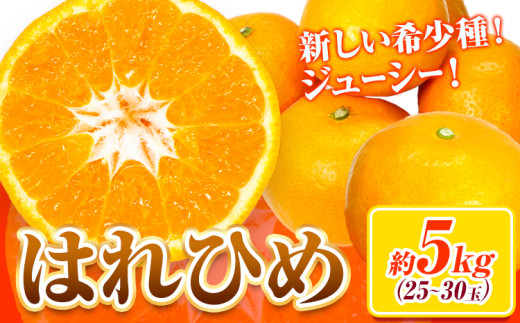 【先行予約】みかん はれひめ 約 5kg 25玉 ～ 30玉 紀農人株式会社【先行予約】《2025年12月中旬-2025年2月上旬頃出荷》 和歌山県 紀の川市 果物 フルーツ 柑橘 蜜柑 柑橘類 旬