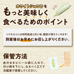 数量限定 先行予約 白いとうもろこし ホワイトショコラ 糖度17度以上 メロン並みの糖度 2024年6月下旬から出荷 [T0012]