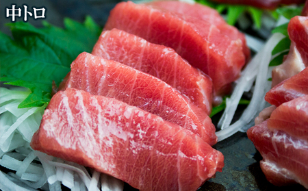 【数量限定】　本部町産　本マグロ（中トロ・赤身）セット 　約380g～450g
