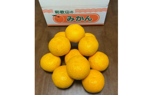 
                  地元印南町産 樹熟 甘夏みかん 約7.5kg（20個前後） 大玉L～2Lサイズ
                