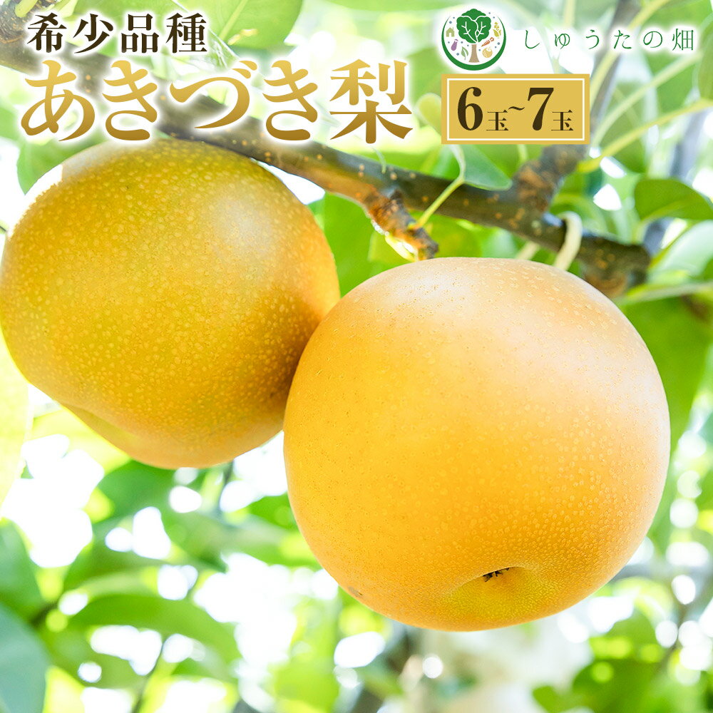 【ふるさと納税】【先行予約】しゅうたの畑 希少品種 あきづき梨 6玉から7玉 【2026年9月上旬より順次発送予定】 梨 なし ナシ あきづき 果物 くだもの フルーツ 果実 ジューシー 産直農園 お取り寄せ 送料無料 福岡県 うきは市 常温