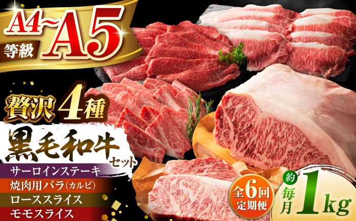 【全6回定期便】くまもと黒毛和牛「藤彩牛」厳選4種の贅沢セット 3904【株式会社フジチク】 [BHAD049]