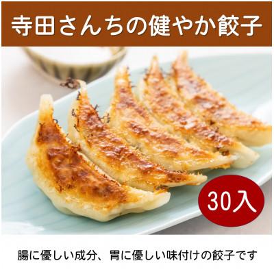 ふるさと納税 松原市 寺田さんちの健やか餃子　30個入り1パック　テレビで何度も取り上げられた美味しさいっぱいの餃子