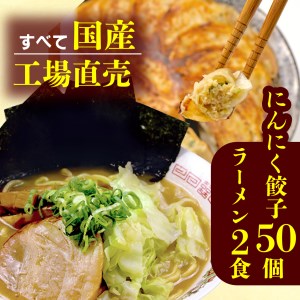 麺 2食 にんにく餃子 50個 セット 国産 麺 豚骨 餃子 個包装