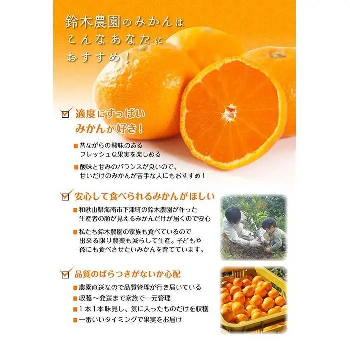 早生みかん 5kg 小玉サイズ みかん