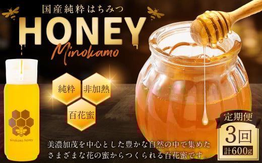 【3ヶ月定期便】国産 無添加 MINOKAMO HONEY はちみつ 1本（200g）×3回 ｜ 藤井養蜂 蜂蜜 ハニー 非加熱 純粋 百花蜜 定期便 岐阜