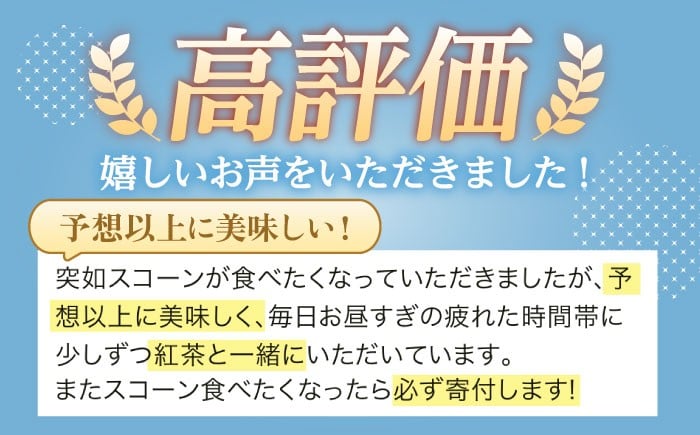 スコーン お菓子 おやつ スイーツ ギフト セット 洋菓子 焼菓子 個包装
