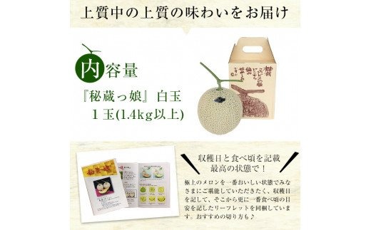 a5-112 【冬限定】＜R6年11月下旬～12月末頃発送予定＞極上メロン「秘蔵っ娘」白玉(青肉)1個