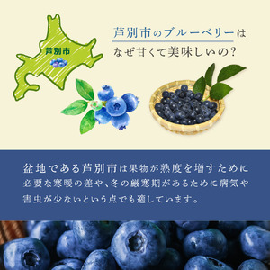 ブルーベリー ミックス 500g 冷凍 果物 くだもの フルーツ 旬の果物 旬のフルーツ ミックスブルーベリー 大粒 小粒 保存 北海道 芦別市