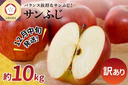 りんご　【2024年12月中旬発送】【訳あり】 りんご 10kg サンふじ 青森 不揃い サンふじりんご