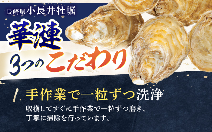 限定20セット！「かき日本一決定戦」グランプリ受賞　諫早市小長井牡蠣　華漣 (殻付き)20個入り カキナイフ・軍手付き / 牡蠣 かき カキ 小長井牡蠣 貝 / 諫早市 / 諫早湾漁業協同組合 [AH