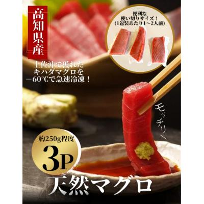 ふるさと納税 田野町 【四国一小さなまち】土佐沖どれキハダマグロ　約250g×3柵【カネアリ水産】