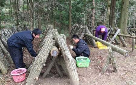 干し しいたけ 70g 乾燥 国産 しいたけ しいたけ しいたけ しいたけ