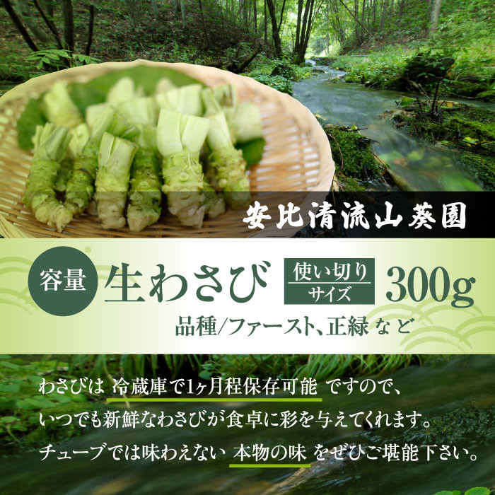 生わさび 使い切りサイズ 300g 【安比清流山葵園】 ／ わさび 山葵 ワサビ 生山葵 生ワサビ 新鮮 薬味 産地直送 国産 岩手県産