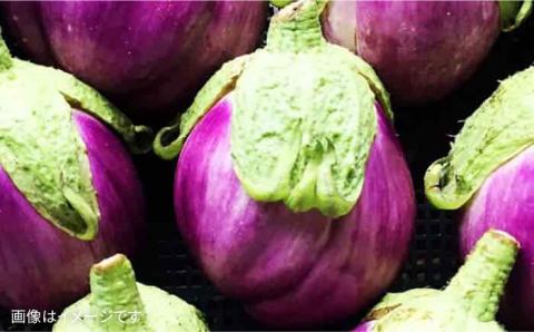 【全12回定期便】【栽培期間中農薬・化学肥料不使用】こだわり 野菜 セット （8品前後） 《糸島》【オーガニックナガミツファーム】 [AGE018]