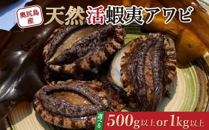 
                  【2026年6月発送】奥尻産天然アワビ 選べる容量 500g以上 (2～3個)・1kg以上 (5～7個) 活アワビ あわび 鮑 蝦夷アワビ エゾアワビ 刺身 焼き物 | 北海道 奥尻町 送料無料 OKS03-007-008
                