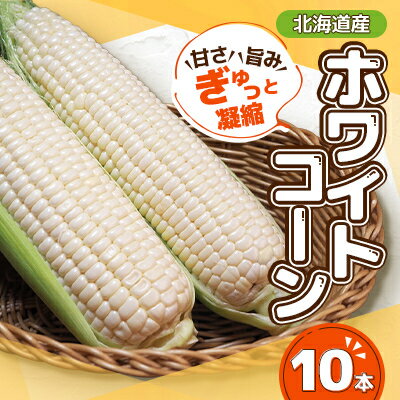 【ふるさと納税】【先行予約】甘さ旨みぎゅっと凝縮ホワイトコーン 10本【配送不可地域：離島】【1676327】