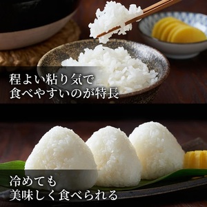 Y492 鳥取県産  ひとめぼれ 令和7年産 精米済 20kg（5kg×4袋）