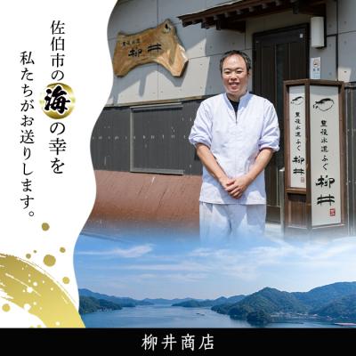 ふるさと納税 佐伯市 <定期便・全12回 (連続)>とらふぐ刺身 (総量約3.7kg) |  | 03