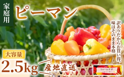 【2.5kg】【家庭用】ピーマン