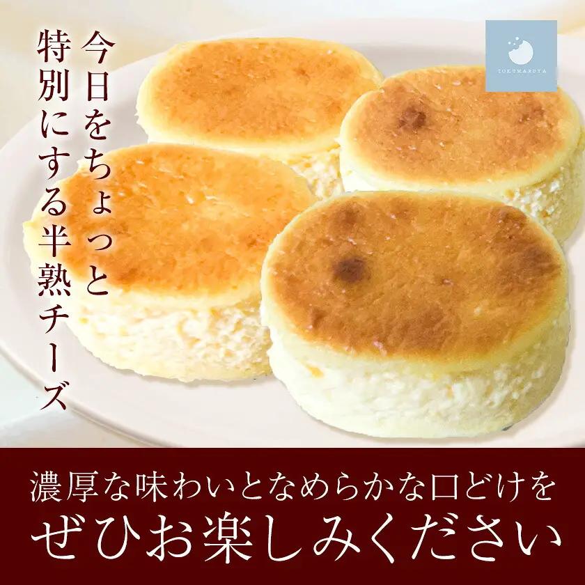 半熟チーズケーキ 計20個(10個×2箱) こだわり半熟チーズ 菓心 徳丸屋《30日以内に出荷予定(土日祝除く)》