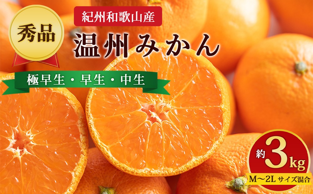 
                  【先行予約】【秀品】紀州和歌山産 温州みかん 約3kg（箱込み） M～2L サイズ混合（極早生・早生・中生）
                