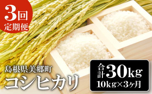 【定期便3ヶ月】令和6年産 石見地方 美郷町産 コシヒカリ 10kg【令和6年度産 定期便 3回定期 米 精米 白米 ブランド米 こしひかり 10kg×3回 合計30kg 2024年産】