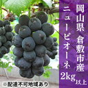 【ふるさと納税】 ぶどう 2025年 先行予約 ご家庭用 ニュー ピオーネ 合計2kg以上 産地直送 ブドウ 葡萄 岡山県産 国産 フルーツ 果物 たけまさぶどう園　果物類・ぶどう・マスカット・フルーツ　お届け：2025年7月中旬～2025年9月下旬