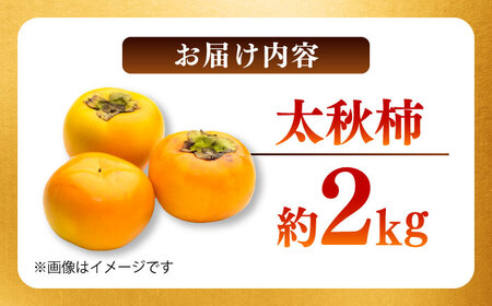 【先行予約】太秋柿 約2kg 柿 カキ フルーツ 果物 秋 【日本フルーツ株式会社】 [ZFJ021]