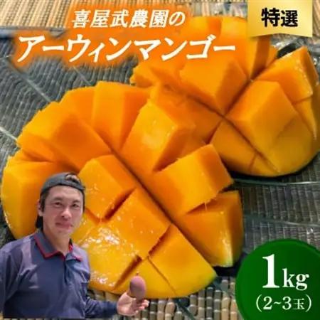 【先行受付・2026年6月から順次発送・特選】喜屋武農園のアーウィンマンゴー1kg(2～3玉)【配送不可地域：離島】【1694605】