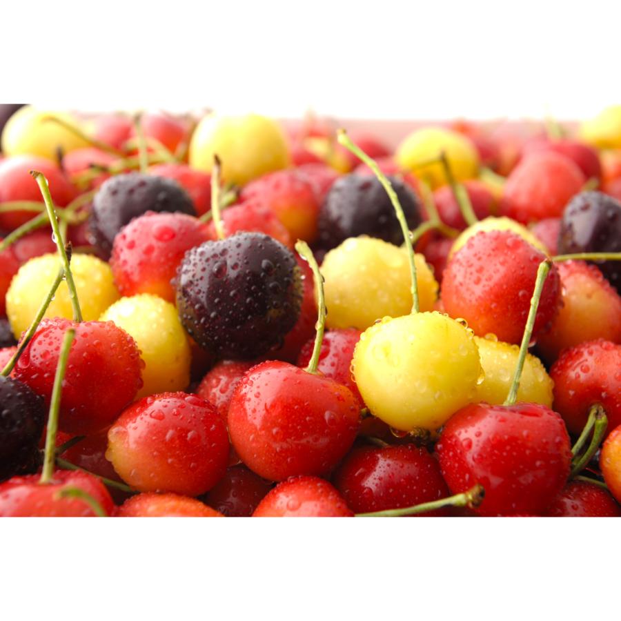 ＜大橋さくらんぼ園＞さくらんぼ詰め合わせバラ500g×2種