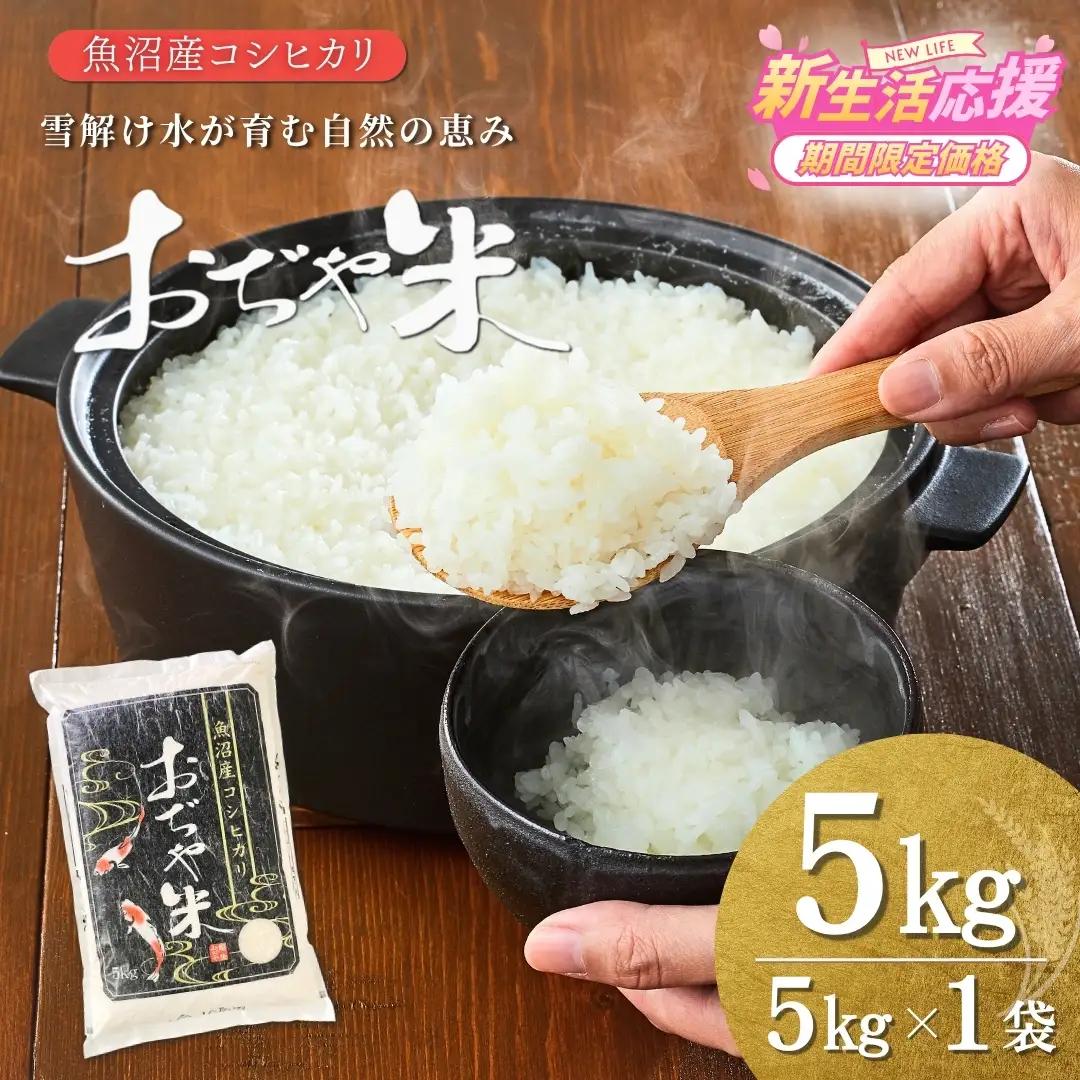 コシヒカリ精米 5kg 魚沼産 [ コシヒカリ ] おぢや